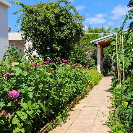 Apartment Garden M&M Dubrovnik Exterior photo