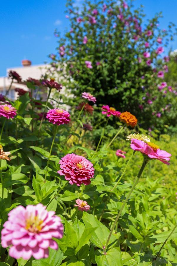 Apartman Garden M&m Dubrovnik
