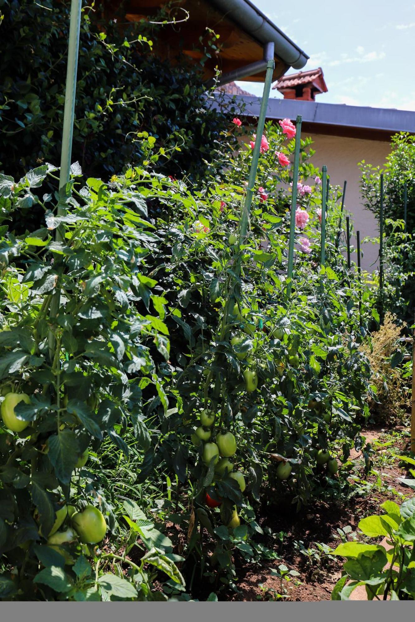 Appartement Garden M&m