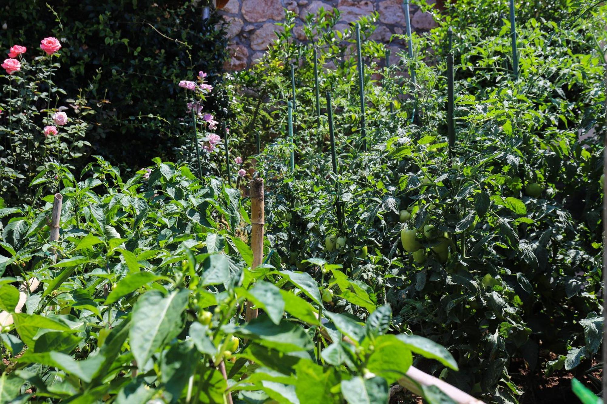 Appartement Garden M&m